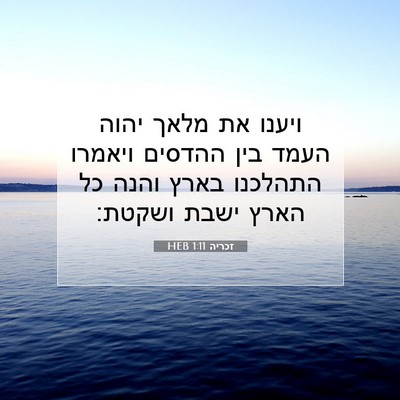 Picture 07 - זכריה 1:11 HEB - ויענו את מלאך יהוה העמד בין - Bible Verse Picture