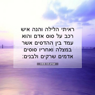 Picture 07 - זכריה 1:8 HEB - ראיתי הלילה והנה איש רכב על - Bible Verse Picture