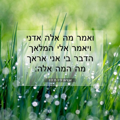 Picture 07 - זכריה 1:9 HEB - ואמר מה אלה אדני ויאמר אלי - Bible Verse Picture