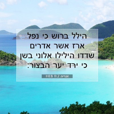 Picture 07 - זכריה 11:2 HEB - הילל ברוש כי נפל ארז אשר - Bible Verse Picture