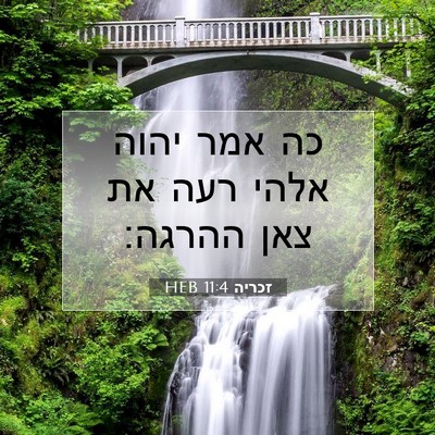 Picture 07 - זכריה 11:4 HEB - כה אמר יהוה אלהי רעה את צאן - Bible Verse Picture