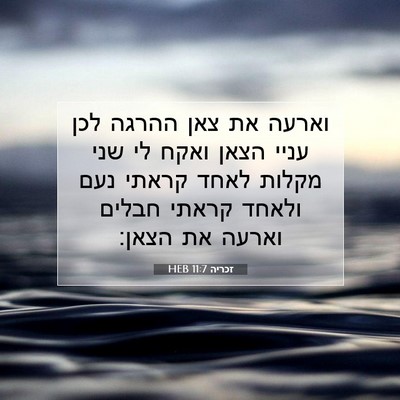 Picture 07 - זכריה 11:7 HEB - וארעה את צאן ההרגה לכן עניי - Bible Verse Picture