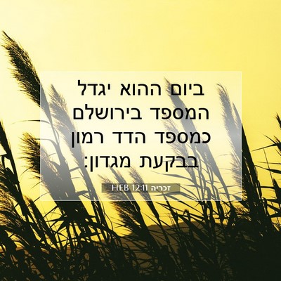 Picture 07 - זכריה 12:11 HEB - ביום ההוא יגדל המספד - Bible Verse Picture