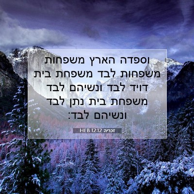Picture 07 - זכריה 12:12 HEB - וספדה הארץ משפחות משפחות - Bible Verse Picture