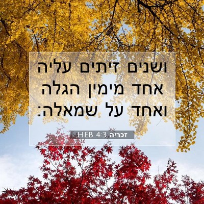 Picture 07 - זכריה 4:3 HEB - ושנים זיתים עליה אחד מימין - Bible Verse Picture