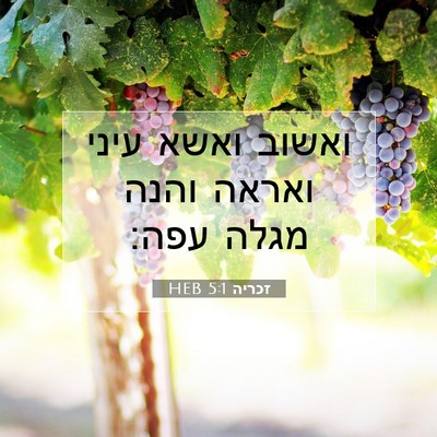 Picture 07 - זכריה 5:1 HEB - ואשוב ואשא עיני ואראה והנה - Bible Verse Picture
