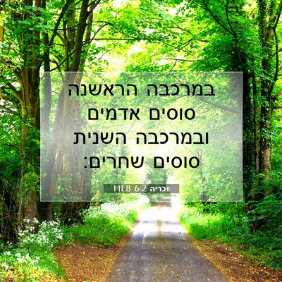 Picture 07 - זכריה 6:2 HEB - במרכבה הראשנה סוסים אדמים - Bible Verse Picture
