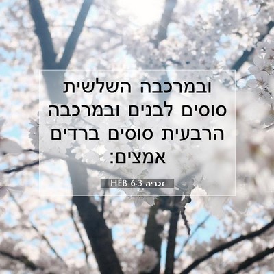 Picture 07 - זכריה 6:3 HEB - ובמרכבה השלשית סוסים לבנים - Bible Verse Picture