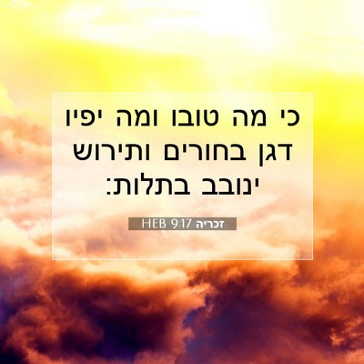 Picture 07 - זכריה 9:17 HEB - כי מה טובו ומה יפיו דגן - Bible Verse Picture