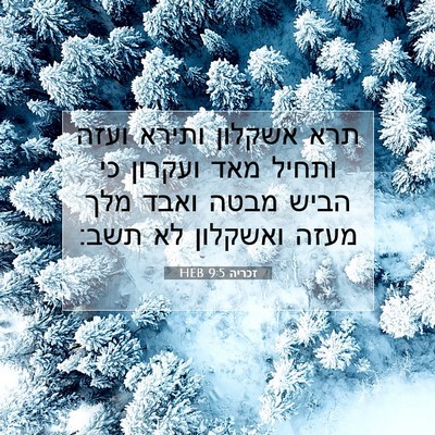 Picture 07 - זכריה 9:5 HEB - תרא אשקלון ותירא ועזה - Bible Verse Picture
