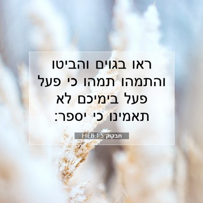 Picture 07 - חבקוק 1:5 HEB - ראו בגוים והביטו והתמהו - Bible Verse Picture