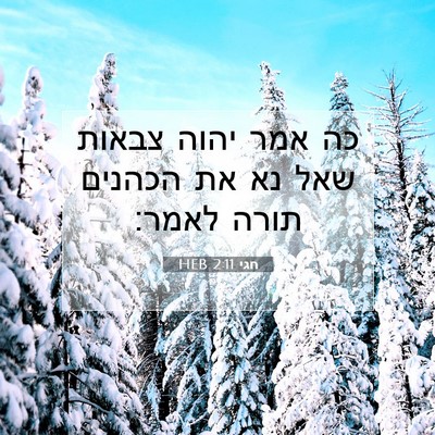 Picture 07 - חגי 2:11 HEB - כה אמר יהוה צבאות שאל נא את - Bible Verse Picture