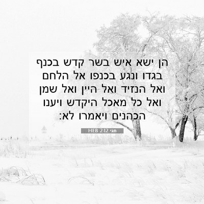 Picture 07 - חגי 2:12 HEB - הן ישא איש בשר קדש בכנף - Bible Verse Picture