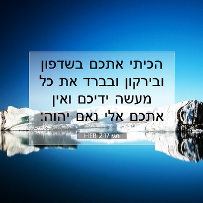 Picture 07 - חגי 2:17 HEB - הכיתי אתכם בשדפון ובירקון - Bible Verse Picture