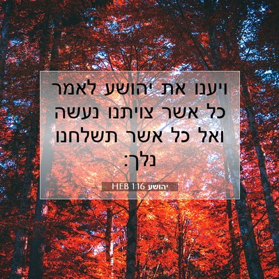 Picture 07 - יהושע 1:16 HEB - ויענו את יהושע לאמר כל אשר - Bible Verse Picture