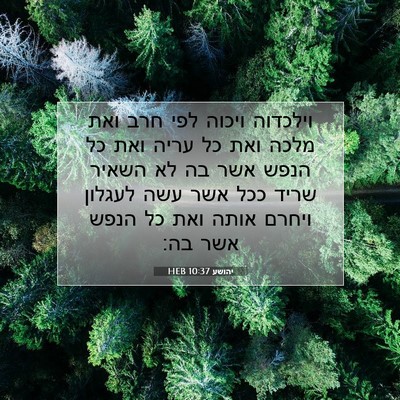 Picture 07 - יהושע 10:37 HEB - וילכדוה ויכוה לפי חרב ואת - Bible Verse Picture
