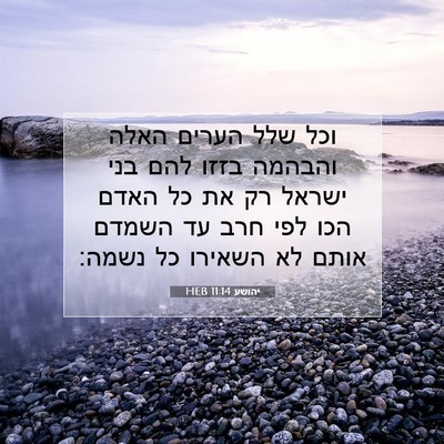 Picture 07 - יהושע 11:14 HEB - וכל שלל הערים האלה והבהמה - Bible Verse Picture