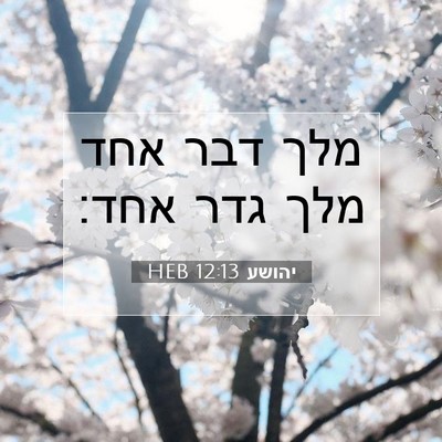 Picture 07 - יהושע 12:13 HEB - מלך דבר אחד מלך גדר - Bible Verse Picture