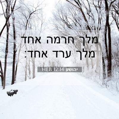 Picture 07 - יהושע 12:14 HEB - מלך חרמה אחד מלך ערד - Bible Verse Picture