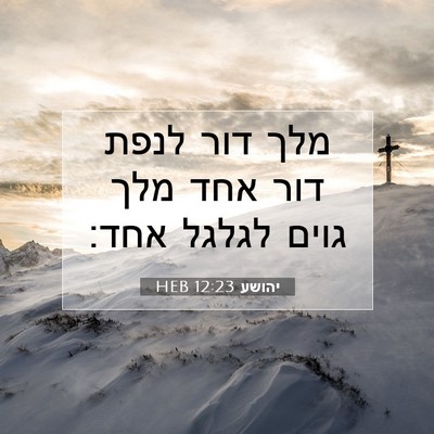 Picture 07 - יהושע 12:23 HEB - מלך דור לנפת דור אחד מלך - Bible Verse Picture