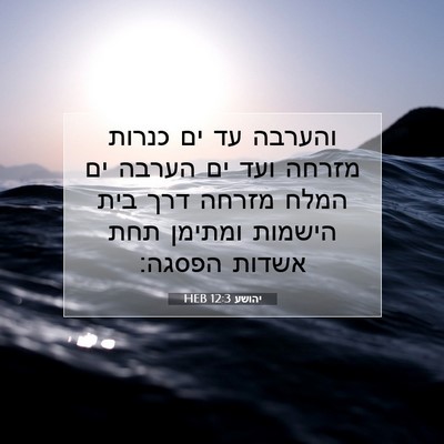 Picture 07 - יהושע 12:3 HEB - והערבה עד ים כנרות מזרחה - Bible Verse Picture