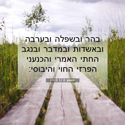 Picture 07 - יהושע 12:8 HEB - בהר ובשפלה ובערבה ובאשדות - Bible Verse Picture