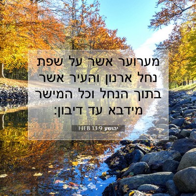 Picture 07 - יהושע 13:9 HEB - מערוער אשר על שפת נחל ארנון - Bible Verse Picture