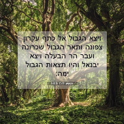 Picture 07 - יהושע 15:11 HEB - ויצא הגבול אל כתף עקרון - Bible Verse Picture