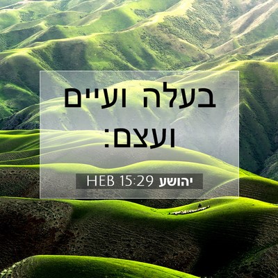 Picture 07 - יהושע 15:29 HEB - בעלה ועיים - Bible Verse Picture