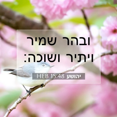 Picture 07 - יהושע 15:48 HEB - ובהר שמיר ויתיר - Bible Verse Picture