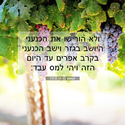Picture 07 - יהושע 16:10 HEB - ולא הורישו את הכנעני היושב - Bible Verse Picture