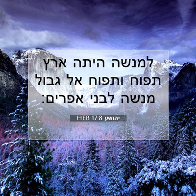 Picture 07 - יהושע 17:8 HEB - למנשה היתה ארץ תפוח ותפוח - Bible Verse Picture