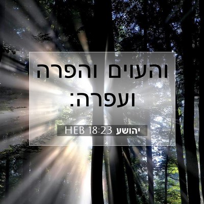 Picture 07 - יהושע 18:23 HEB - והעוים והפרה - Bible Verse Picture