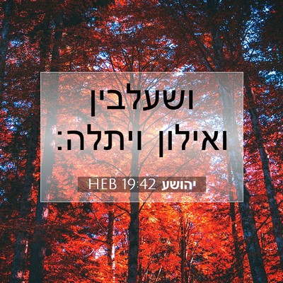 Picture 07 - יהושע 19:42 HEB - ושעלבין ואילון - Bible Verse Picture