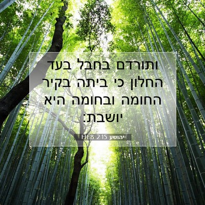 Picture 07 - יהושע 2:15 HEB - ותורדם בחבל בעד החלון כי - Bible Verse Picture