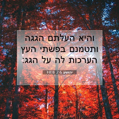 Picture 07 - יהושע 2:6 HEB - והיא העלתם הגגה ותטמנם - Bible Verse Picture