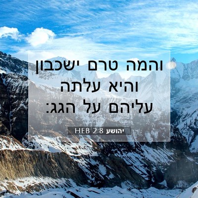 Picture 07 - יהושע 2:8 HEB - והמה טרם ישכבון והיא עלתה - Bible Verse Picture