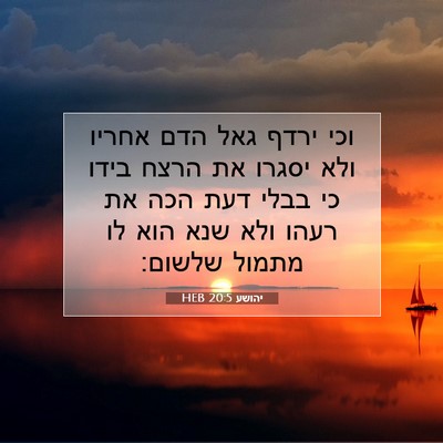 Picture 07 - יהושע 20:5 HEB - וכי ירדף גאל הדם אחריו ולא - Bible Verse Picture