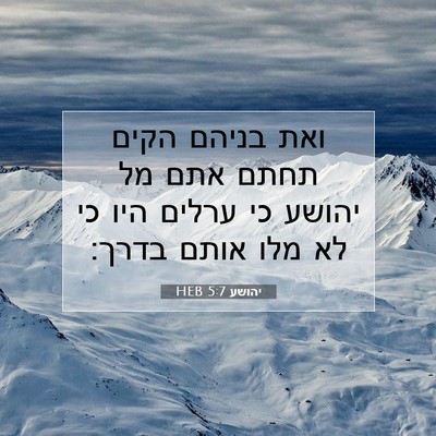 Picture 07 - יהושע 5:7 HEB - ואת בניהם הקים תחתם אתם מל - Bible Verse Picture