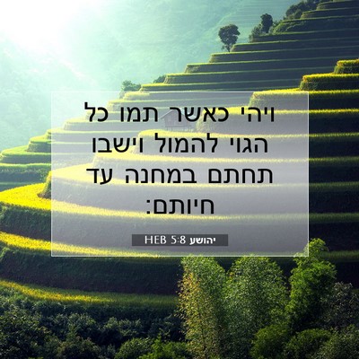 Picture 07 - יהושע 5:8 HEB - ויהי כאשר תמו כל הגוי להמול - Bible Verse Picture