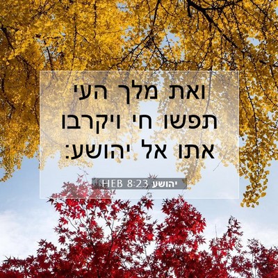 Picture 07 - יהושע 8:23 HEB - ואת מלך העי תפשו חי ויקרבו - Bible Verse Picture