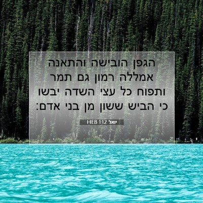 Picture 07 - יואל 1:12 HEB - הגפן הובישה והתאנה אמללה - Bible Verse Picture