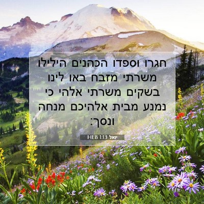 Picture 07 - יואל 1:13 HEB - חגרו וספדו הכהנים הילילו - Bible Verse Picture