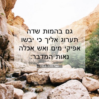 Picture 07 - יואל 1:20 HEB - גם בהמות שדה תערוג אליך כי - Bible Verse Picture