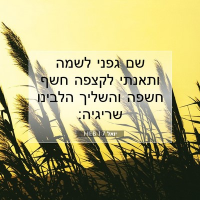Picture 07 - יואל 1:7 HEB - שם גפני לשמה ותאנתי לקצפה - Bible Verse Picture