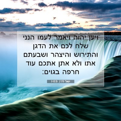 Picture 07 - יואל 2:19 HEB - ויען יהוה ויאמר לעמו הנני - Bible Verse Picture