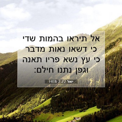 Picture 07 - יואל 2:22 HEB - אל תיראו בהמות שדי כי דשאו - Bible Verse Picture