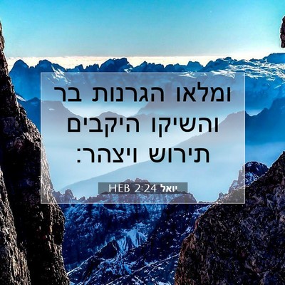 Picture 07 - יואל 2:24 HEB - ומלאו הגרנות בר והשיקו - Bible Verse Picture