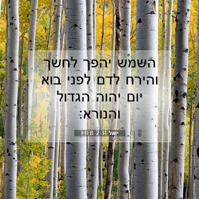 Picture 07 - יואל 2:31 HEB - השמש יהפך לחשך והירח לדם - Bible Verse Picture