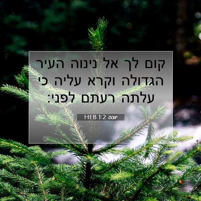 Picture 07 - יונה 1:2 HEB - קום לך אל נינוה העיר הגדולה - Bible Verse Picture